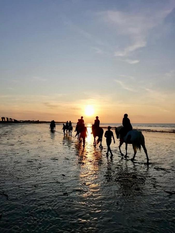 Le Cocon De Nacre - A 300M De La Plage - Wifi Курсел-сюр-Мер Екстериор снимка